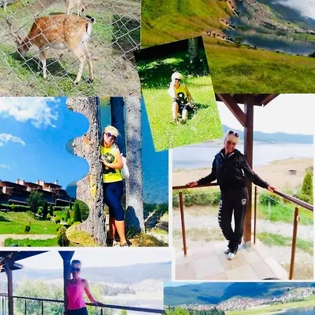 Vip Complex 4* Сырница