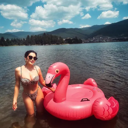 Гостевой дом Vip Complex